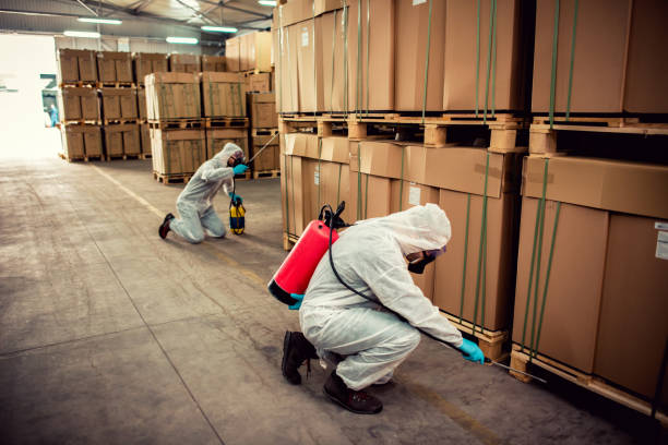 Best Exterminator Services  in Landover Hills, MD