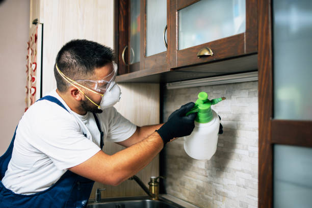Best Pest Prevention Services  in Landover Hills, MD