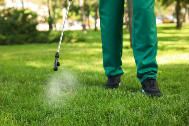 Best Termite Control Services  in Landover Hills, MD