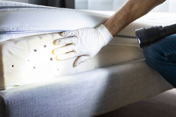 Best Affordable Pest Control Services  in Landover Hills, MD