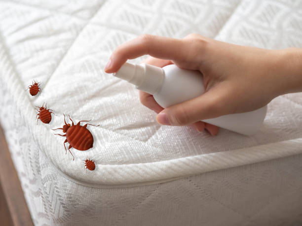 Best Pest Control Near Me in Landover Hills, MD