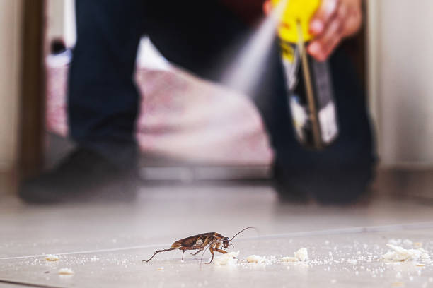 Pest Control for Restaurants in Landover Hills, MD